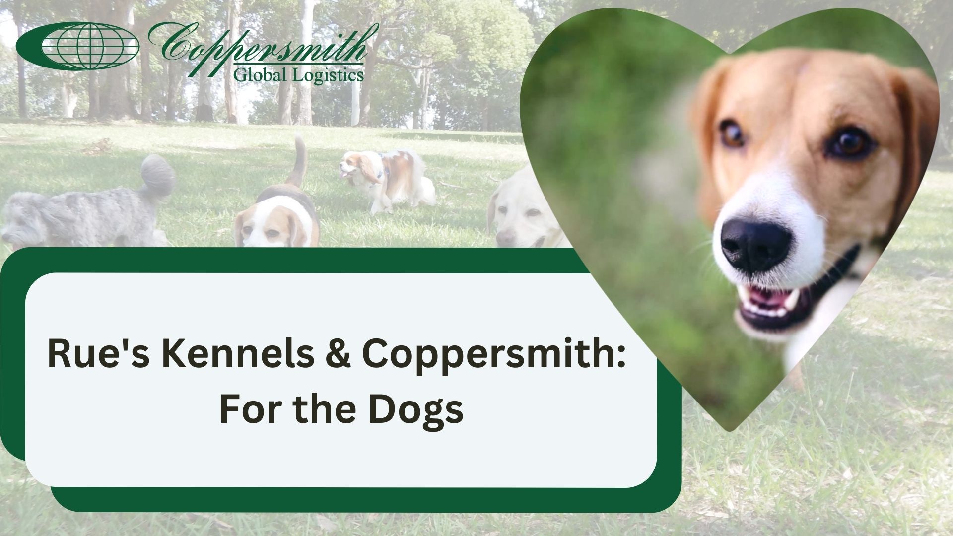 Rue’s Kennels & Coppersmith: For the Dogs
